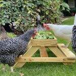 A DIY Chicken Feeder Picnic Table